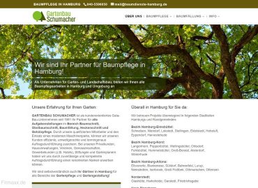 Baumschnitt und Baumfällung in Hamburg