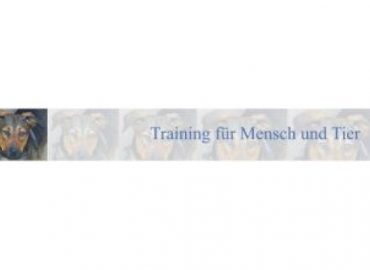 Hundeschule Bremen – Training für Mensch und Tier